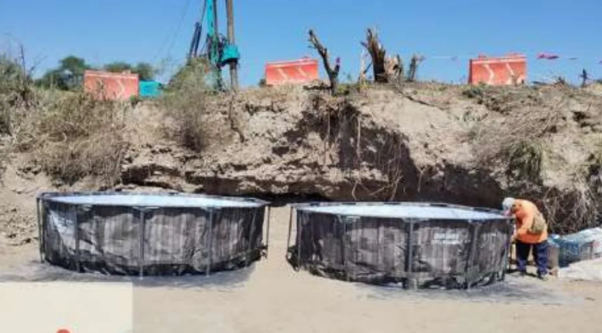 Pilotes con polímero La Pitahaya · registro fotográfico